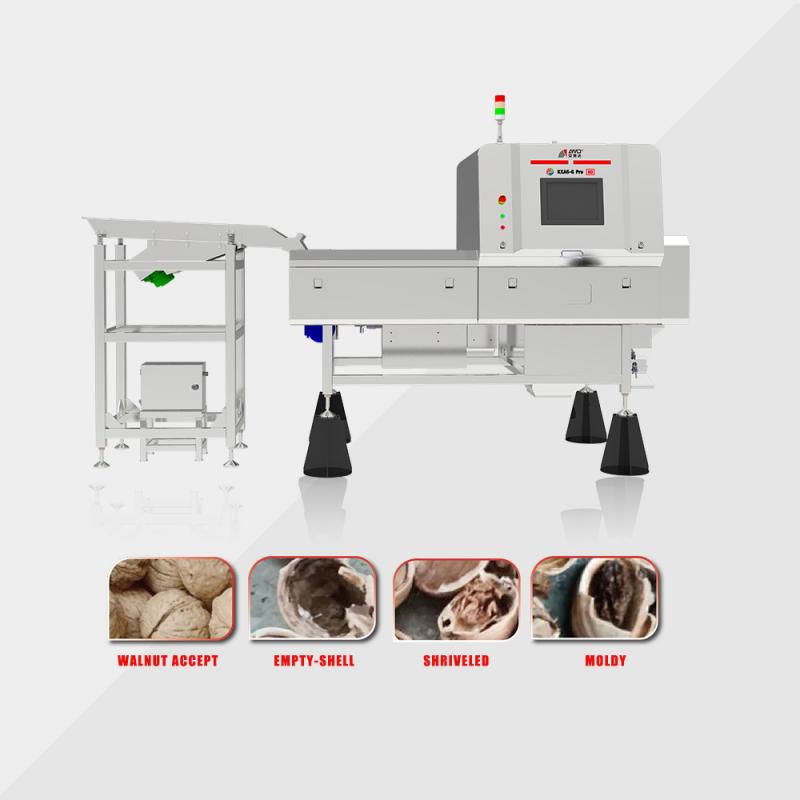 Walnut Sorting Machine